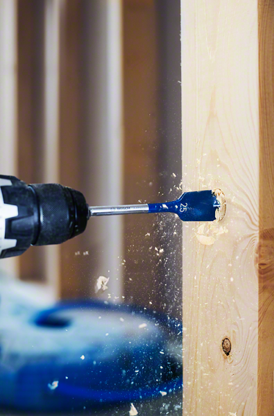 Expert Drilling Wood (Bosch)