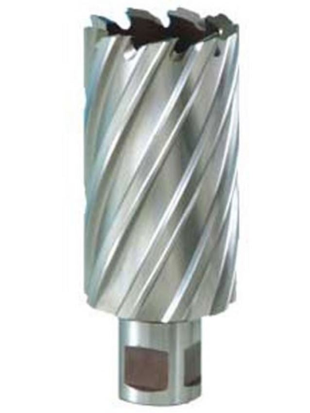 Rotabroach Mag Drill Cutter 22mm Long Series  - RAPL220
